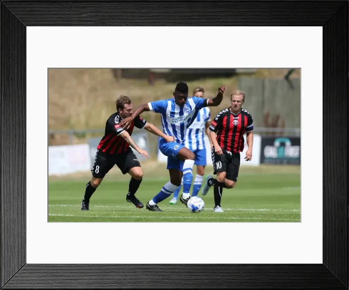 Framed Print : Brighton and Hove Albion vs Lewes: Pre-Season Friendly Clash at Dripping Pan (18th July 2015) Framed Print : Brighton and Hove Albion vs Lewes: Pre-Season Friendly Clash at Dripping Pan (18th July 2015)