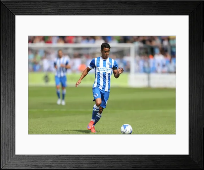 Framed Print : Brighton and Hove Albion vs Lewes: Pre-Season Friendly Clash at Dripping Pan (18th July 2015) Framed Print : Brighton and Hove Albion vs Lewes: Pre-Season Friendly Clash at Dripping Pan (18th July 2015)