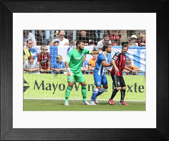 Framed Print : Brighton and Hove Albion vs Lewes: Pre-Season Friendly Clash at Dripping Pan (18th July 2015) Framed Print : Brighton and Hove Albion vs Lewes: Pre-Season Friendly Clash at Dripping Pan (18th July 2015)