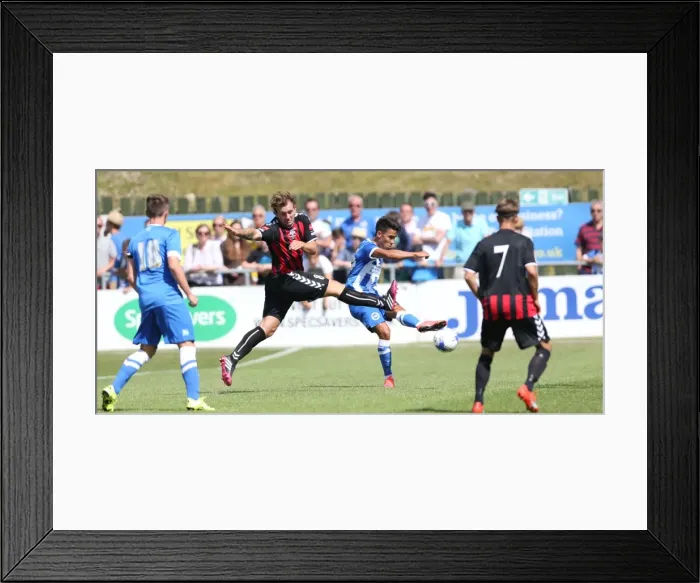 Framed Print : Brighton and Hove Albion vs Lewes: Pre-Season Friendly Clash at Dripping Pan (18th July 2015) Framed Print : Brighton and Hove Albion vs Lewes: Pre-Season Friendly Clash at Dripping Pan (18th July 2015)