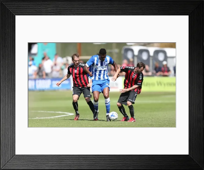 Framed Print : Brighton and Hove Albion vs Lewes: Pre-Season Friendly Clash at Dripping Pan (18th July 2015) Framed Print : Brighton and Hove Albion vs Lewes: Pre-Season Friendly Clash at Dripping Pan (18th July 2015)