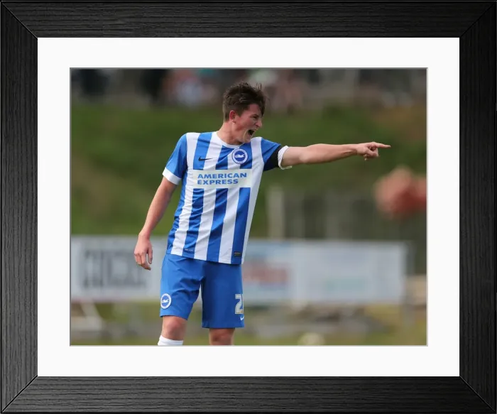 Framed Print : Brighton and Hove Albion vs. Lewes: Pre-Season Friendly Clash at Dripping Pan (18th July 2015)