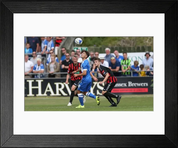 Framed Print : Brighton and Hove Albion vs Lewes: Pre-Season Friendly Clash at Dripping Pan (18 July 2015) Framed Print : Brighton and Hove Albion vs Lewes: Pre-Season Friendly Clash at Dripping Pan (18 July 2015)