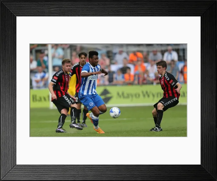 Framed Print : Brighton & Hove Albion vs Lewes: Pre-Season Clash at The Dripping Pan (18.07.2015) Framed Print : Brighton & Hove Albion vs Lewes: Pre-Season Clash at The Dripping Pan (18.07.2015)