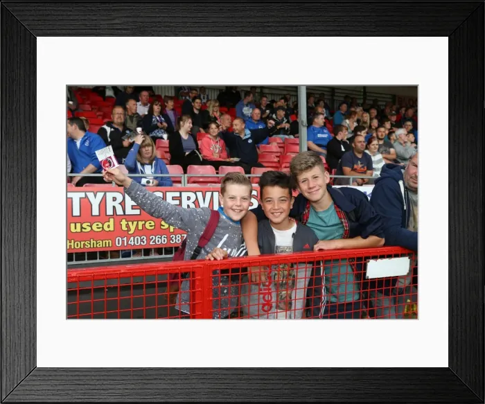 Framed Print : Brighton and Hove Albion vs. Crawley Town: Pre-Season Friendly Clash at Checkatrade Stadium (22 / 07 / 2015) Framed Print : Brighton and Hove Albion vs. Crawley Town: Pre-Season Friendly Clash at Checkatrade Stadium (22 / 07 / 2015)