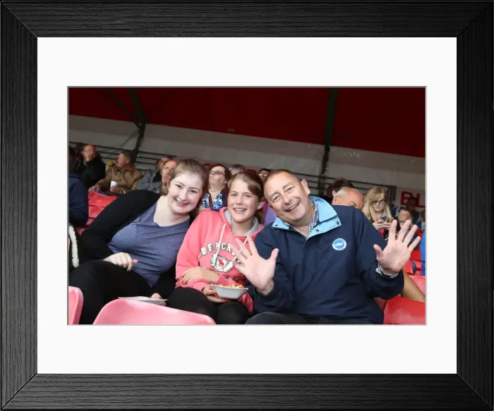 Framed Print : Brighton and Hove Albion vs. Crawley Town: Pre-Season Friendly Clash at Checkatrade Stadium (22 / 07 / 2015)