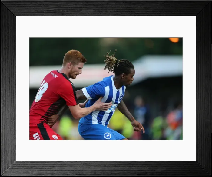 Framed Print : Brighton and Hove Albion vs. Crawley Town: Pre-Season Friendly Clash at Checkatrade Stadium (22 / 07 / 2015) Framed Print : Brighton and Hove Albion vs. Crawley Town: Pre-Season Friendly Clash at Checkatrade Stadium (22 / 07 / 2015)