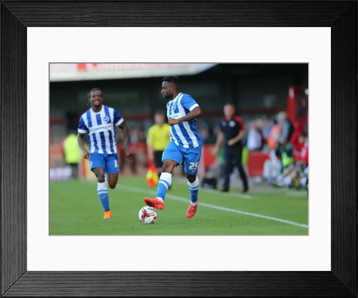 Framed Print : Brighton and Hove Albion vs Crawley Town: Pre-Season Clash at Checkatrade Stadium (22 / 07 / 2015) - Match Action Framed Print : Brighton and Hove Albion vs Crawley Town: Pre-Season Clash at Checkatrade Stadium (22 / 07 / 2015) - Match Action