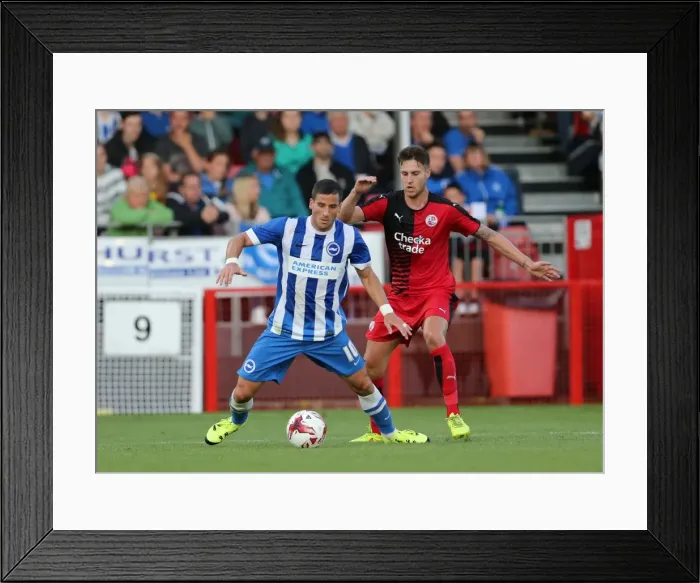 Framed Print : Brighton and Hove Albion vs Crawley Town: Pre-Season Clash at Checkatrade Stadium (22nd July 2015) Framed Print : Brighton and Hove Albion vs Crawley Town: Pre-Season Clash at Checkatrade Stadium (22nd July 2015)
