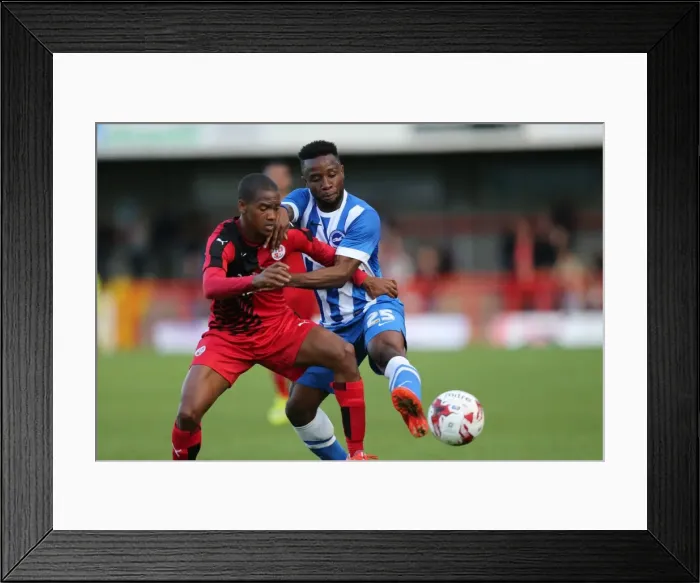 Framed Print : Brighton and Hove Albion vs. Crawley Town: Pre-Season Friendly Clash at Checkatrade Stadium (22 / 07 / 2015) Framed Print : Brighton and Hove Albion vs. Crawley Town: Pre-Season Friendly Clash at Checkatrade Stadium (22 / 07 / 2015)