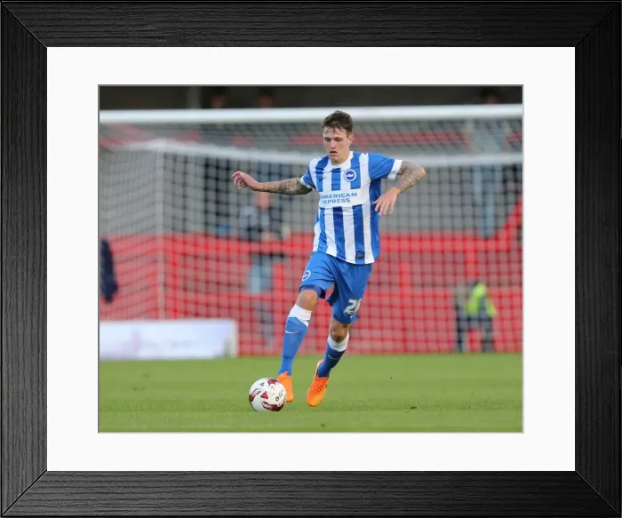 Framed Print : Brighton and Hove Albion vs Crawley Town: Pre-Season Friendly Clash at Checkatrade Stadium (22nd July 2015) Framed Print : Brighton and Hove Albion vs Crawley Town: Pre-Season Friendly Clash at Checkatrade Stadium (22nd July 2015)