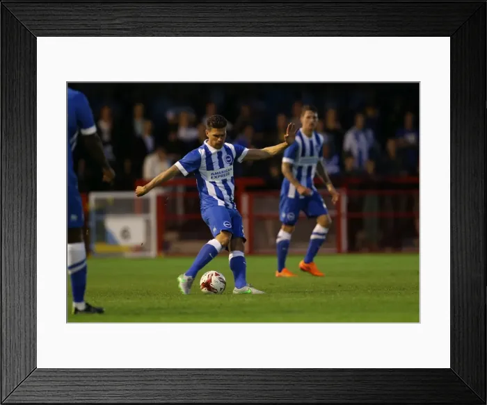 Framed Print : Brighton and Hove Albion vs. Crawley Town: Pre-Season Friendly Clash at Checkatrade Stadium (22 / 07 / 2015)