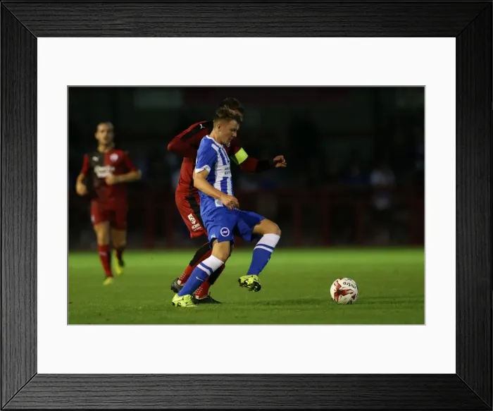 Framed Print : Brighton and Hove Albion vs. Crawley Town: Pre-Season Friendly Clash at Checkatrade Stadium (22 / 07 / 2015) Framed Print : Brighton and Hove Albion vs. Crawley Town: Pre-Season Friendly Clash at Checkatrade Stadium (22 / 07 / 2015)