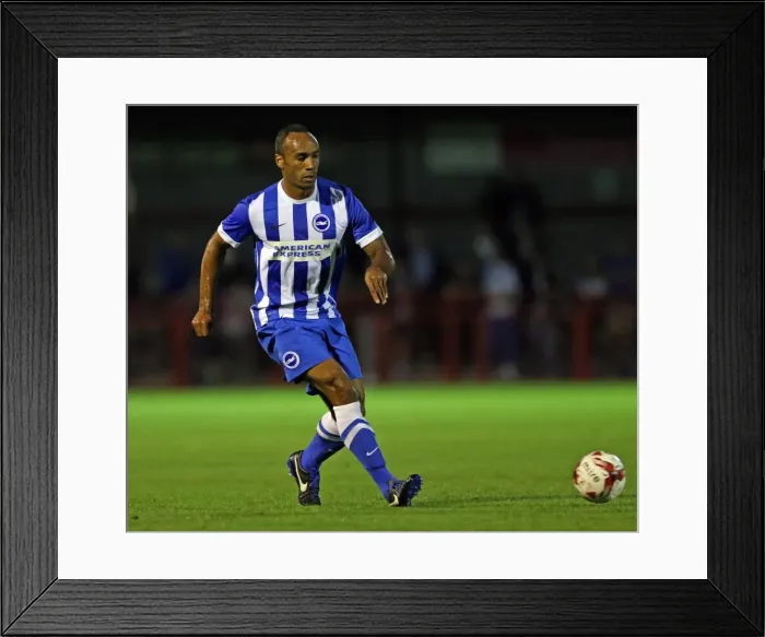 Framed Print : Brighton and Hove Albion vs Crawley Town: Pre-Season Clash at Checkatrade Stadium (22 / 07 / 2015)