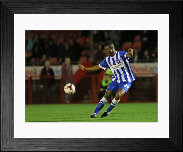 Framed Print : Brighton and Hove Albion Take on Crawley Town in Pre-Season Friendly (22 / 07 / 2015)