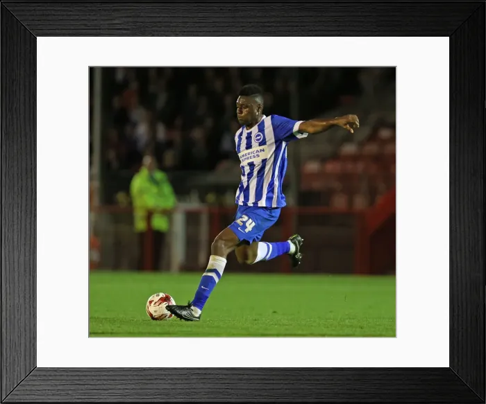 Framed Print : Brighton and Hove Albion vs. Crawley Town: Pre-Season Friendly Clash at Checkatrade Stadium (22 / 07 / 2015) Framed Print : Brighton and Hove Albion vs. Crawley Town: Pre-Season Friendly Clash at Checkatrade Stadium (22 / 07 / 2015)