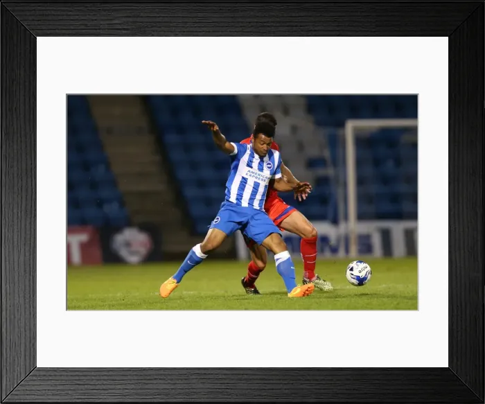Framed Print : Brighton and Hove Albion vs. Gillingham: Pre-Season Friendly at Priestfield Stadium (29 / 07 / 2015) Framed Print : Brighton and Hove Albion vs. Gillingham: Pre-Season Friendly at Priestfield Stadium (29 / 07 / 2015)