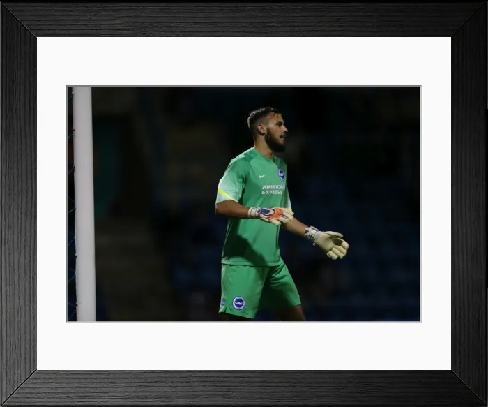Framed Print : Gillingham vs. Brighton and Hove Albion: Pre-Season Clash at Priestfield Stadium (29 / 07 / 2015)
