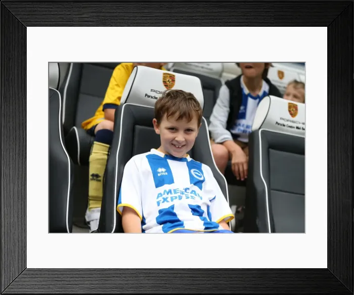 Framed Print : Behind-the-Scenes: Albion Fans Gather for Young Seagulls Open Training Session (31st July 2015) Framed Print : Behind-the-Scenes: Albion Fans Gather for Young Seagulls Open Training Session (31st July 2015)