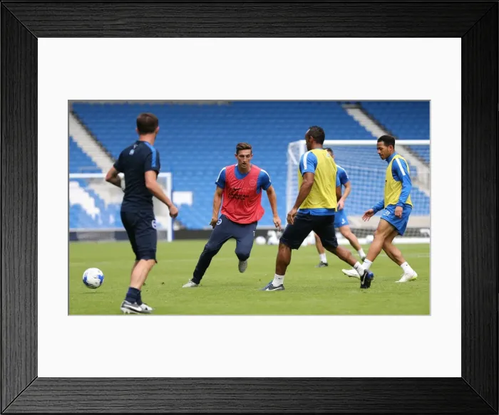 Framed Print : Young Seagulls Open Training Session: Albion Players in Action (July 31, 2015) Framed Print : Young Seagulls Open Training Session: Albion Players in Action (July 31, 2015)