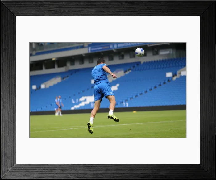 Framed Print : 750 Fans Gather for Brighton & Hove Albion's Young Seagulls Open Training Session (31st July 2015)