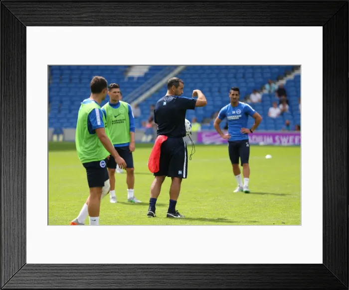 Framed Print : Albion Players Training with Young Seagulls - Open Session (31st July 2015) Framed Print : Albion Players Training with Young Seagulls - Open Session (31st July 2015)
