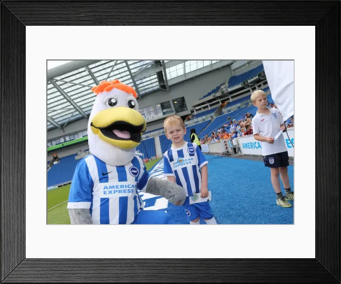 Framed Print : Winning Experience: Young Seagulls Open Training Session with Brighton & Hove Albion FC (31st July 2015) Framed Print : Winning Experience: Young Seagulls Open Training Session with Brighton & Hove Albion FC (31st July 2015)