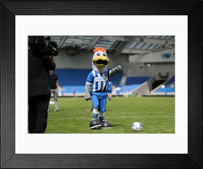 Framed Print : Young Seagulls Penalty Shootout: Fans Train with Casper Ankergren at Brighton & Hove Albion FC (31st July 2015) Framed Print : Young Seagulls Penalty Shootout: Fans Train with Casper Ankergren at Brighton & Hove Albion FC (31st July 2015)