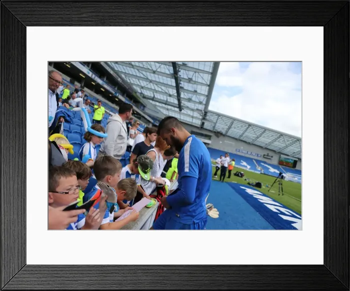 Framed Print : Albion Stars Connect with Fans: Young Seagulls Open Training Session (31st July 2015) Framed Print : Albion Stars Connect with Fans: Young Seagulls Open Training Session (31st July 2015)