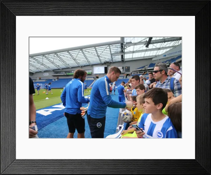 Framed Print : Albion Stars Connect with Fans: Young Seagulls Open Training Session (31st July 2015) Framed Print : Albion Stars Connect with Fans: Young Seagulls Open Training Session (31st July 2015)
