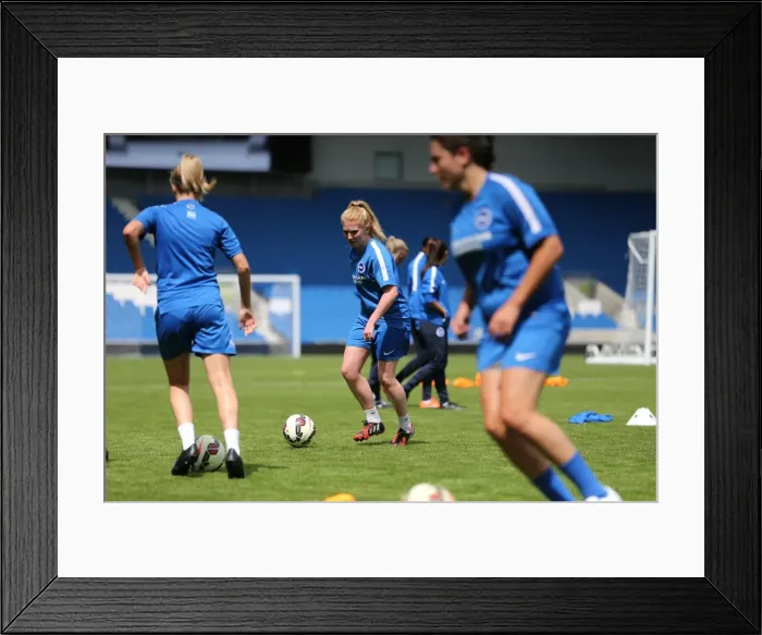 Framed Print : Albion Women's Open Training Session: Young Seagulls in Action (31st July 2015) Framed Print : Albion Women's Open Training Session: Young Seagulls in Action (31st July 2015)