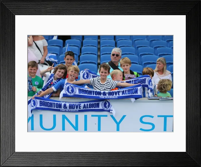 Framed Print : Young Seagulls Open Training Session at Brighton & Hove Albion FC - 31st July 2015 Framed Print : Young Seagulls Open Training Session at Brighton & Hove Albion FC - 31st July 2015