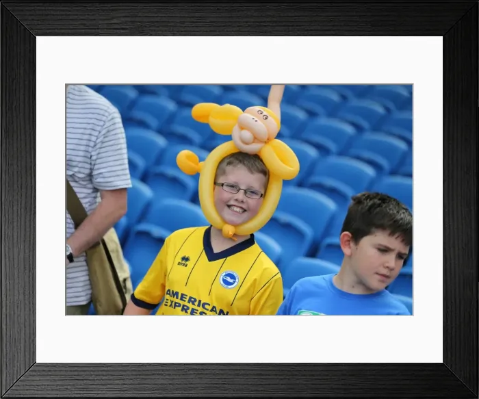 Framed Print : Young Seagulls Open Training Session at Brighton & Hove Albion FC (31st July 2015) Framed Print : Young Seagulls Open Training Session at Brighton & Hove Albion FC (31st July 2015)