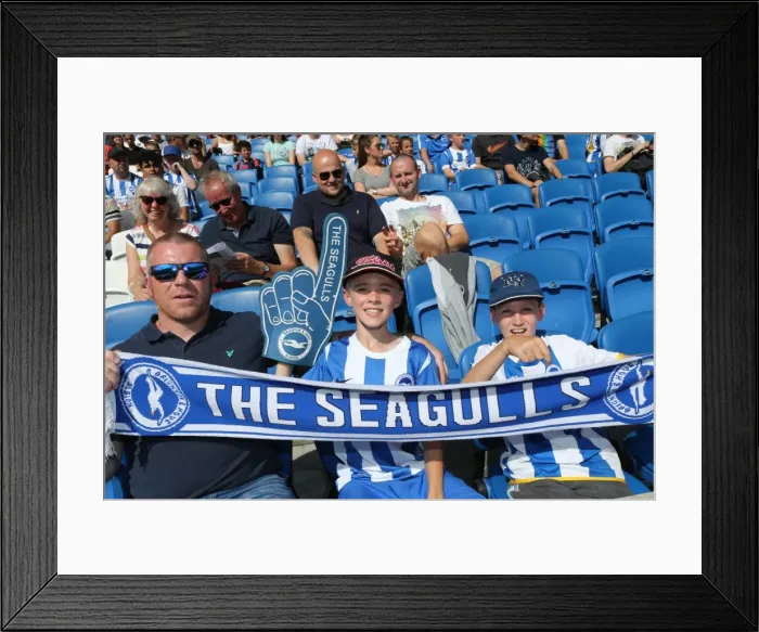 Framed Print : Brighton and Hove Albion FC Fans in Full Force at the 2015 Sevilla Pre-season Friendly Framed Print : Brighton and Hove Albion FC Fans in Full Force at the 2015 Sevilla Pre-season Friendly
