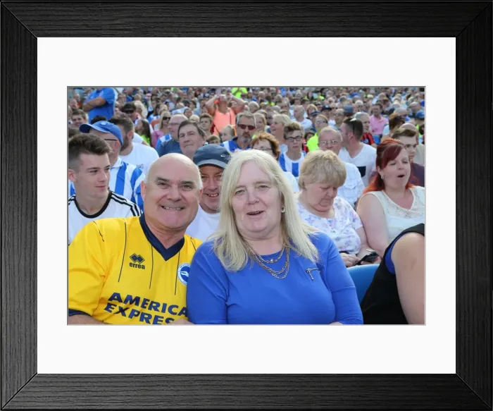 Framed Print : Brighton and Hove Albion Fans Cheer on Their Team against Sevilla FC at the American Express Community Stadium (02.08.2015) Framed Print : Brighton and Hove Albion Fans Cheer on Their Team against Sevilla FC at the American Express Community Stadium (02.08.2015)