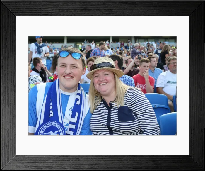 Framed Print : Brighton and Hove Albion Fans Passionate Support Against Sevilla FC at the American Express Community Stadium (2015) Framed Print : Brighton and Hove Albion Fans Passionate Support Against Sevilla FC at the American Express Community Stadium (2015)