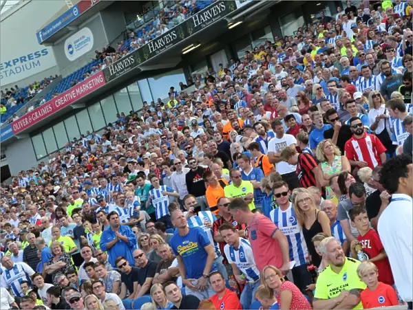 Brighton and Hove Albion Fans in Full Swing: Pre-season Cheer at Sevilla FC Match, 2015