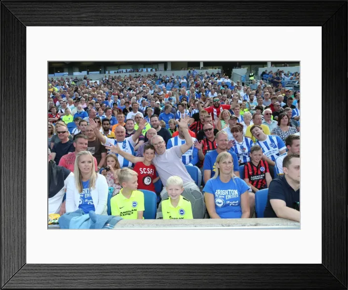 Framed Print : Brighton and Hove Albion FC: Passionate Fans in Action during Sevilla Friendly, 2015 Framed Print : Brighton and Hove Albion FC: Passionate Fans in Action during Sevilla Friendly, 2015