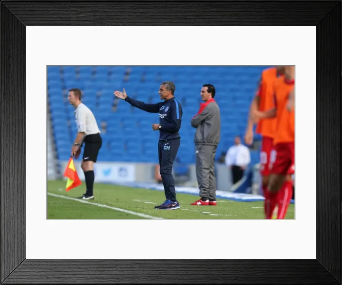 Framed Print : Chris Hughton and Unai Emery Face Off: Brighton & Hove Albion vs Sevilla FC, 2015 Framed Print : Chris Hughton and Unai Emery Face Off: Brighton & Hove Albion vs Sevilla FC, 2015