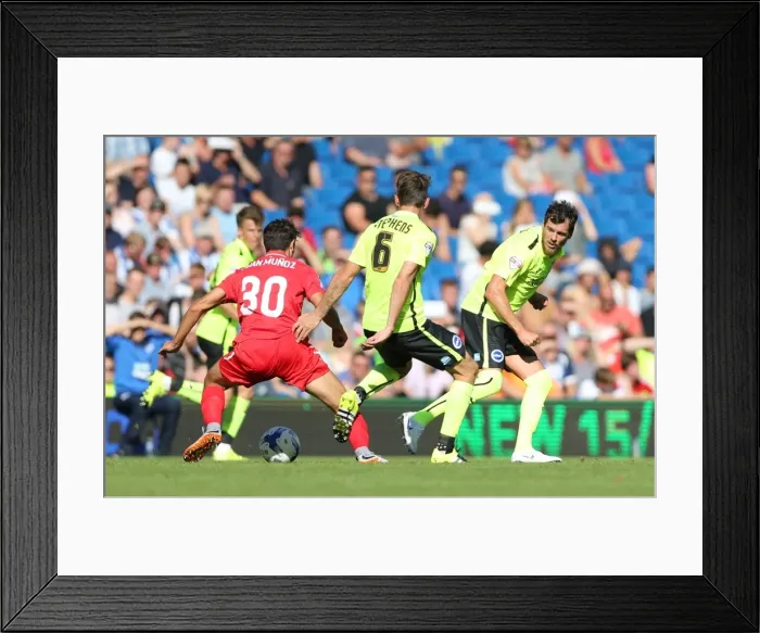 Framed Print : Brighton & Hove Albion vs Sevilla FC: Gordon Greer and Dale Stephens in Action (2015 Pre-Season Friendly) Framed Print : Brighton & Hove Albion vs Sevilla FC: Gordon Greer and Dale Stephens in Action (2015 Pre-Season Friendly)