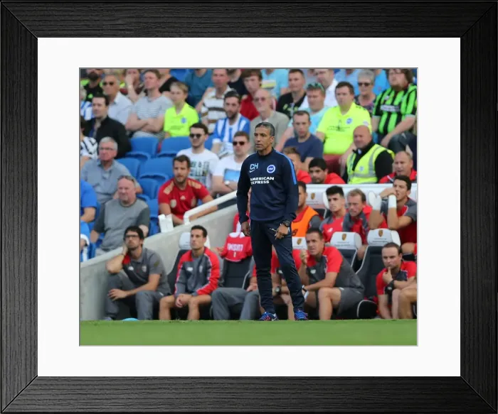 Framed Print : Chris Hughton Leads Brighton & Hove Albion Against Sevilla FC in Pre-Season Friendly (02.08.2015) Framed Print : Chris Hughton Leads Brighton & Hove Albion Against Sevilla FC in Pre-Season Friendly (02.08.2015)
