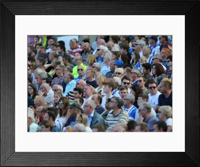 Framed Print : Brighton and Hove Albion Fans Celebrate at American Express Community Stadium During Pre-season Match Against Sevilla FC (2015) Framed Print : Brighton and Hove Albion Fans Celebrate at American Express Community Stadium During Pre-season Match Against Sevilla FC (2015)