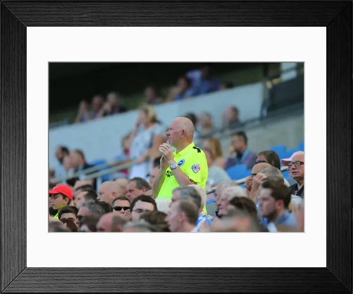 Framed Print : Brighton and Hove Albion Fans Celebrate at American Express Community Stadium During Pre-season Match Against Sevilla FC (2015) Framed Print : Brighton and Hove Albion Fans Celebrate at American Express Community Stadium During Pre-season Match Against Sevilla FC (2015)
