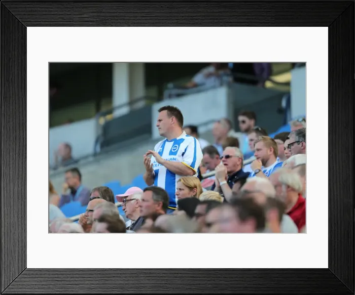 Framed Print : Brighton and Hove Albion Fans Celebrate at American Express Community Stadium During Pre-season Match Against Sevilla FC (2015) Framed Print : Brighton and Hove Albion Fans Celebrate at American Express Community Stadium During Pre-season Match Against Sevilla FC (2015)