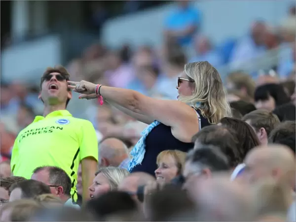 Brighton and Hove Albion Fans Cheer during Pre-season Friendly against Sevilla FC (02.08.2015)