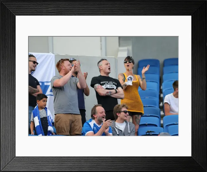 Framed Print : Brighton and Hove Albion FC Fans in Action during Sevilla FC Pre-season Friendly, 2015 Framed Print : Brighton and Hove Albion FC Fans in Action during Sevilla FC Pre-season Friendly, 2015