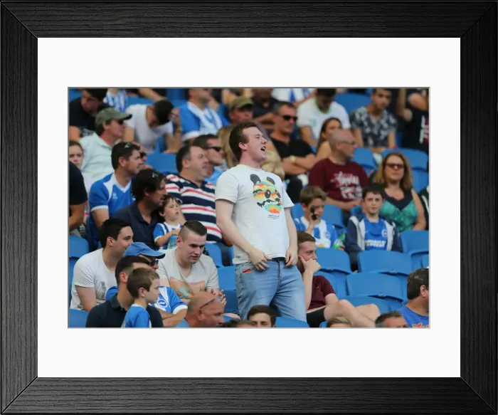 Framed Print : Brighton and Hove Albion Fans Celebrate at American Express Community Stadium During Pre-season Match Against Sevilla FC (2015)