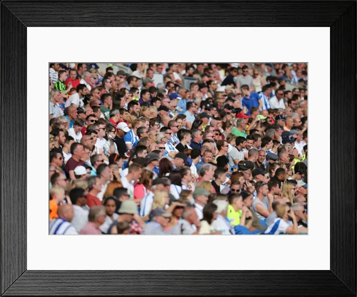 Framed Print : Brighton and Hove Albion Fans Celebrate at American Express Community Stadium During Pre-season Match Against Sevilla FC (2015) Framed Print : Brighton and Hove Albion Fans Celebrate at American Express Community Stadium During Pre-season Match Against Sevilla FC (2015)