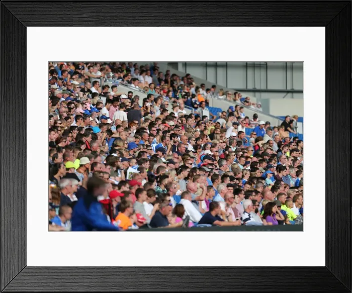 Framed Print : Brighton and Hove Albion Fans Cheer at American Express Community Stadium during Pre-season Friendly against Sevilla FC (2015) Framed Print : Brighton and Hove Albion Fans Cheer at American Express Community Stadium during Pre-season Friendly against Sevilla FC (2015)