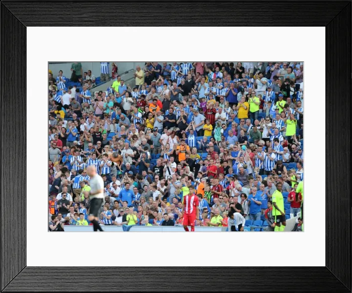 Framed Print : Brighton and Hove Albion FC Fans in Full Swing: Pre-season Friendly Against Sevilla FC, August 2015 (Sevilla 02AUG15) Framed Print : Brighton and Hove Albion FC Fans in Full Swing: Pre-season Friendly Against Sevilla FC, August 2015 (Sevilla 02AUG15)